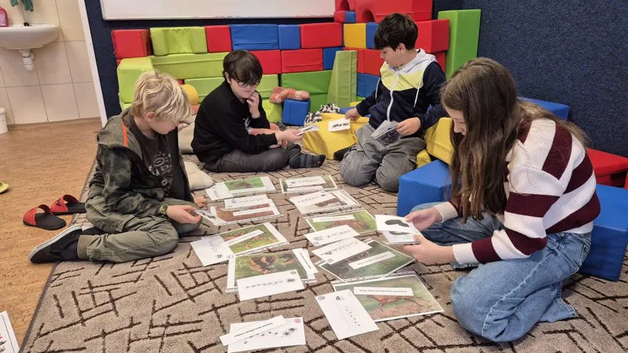 11.12. Aktivita "Koumáků"